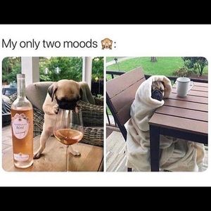 Meet your Posher, Mandie